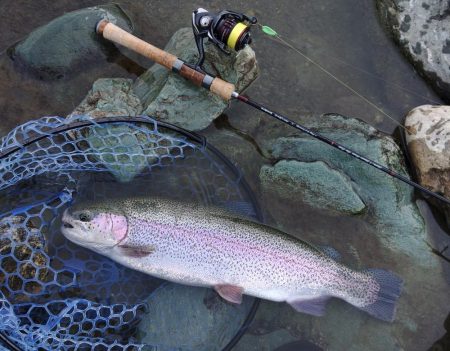 朝は好調、その後は… ～天竜川ルアーフライ…